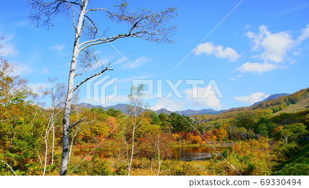 Shiga Kogen Autumn leaves of Ichinuma shining in the autumn blue sky Shiga Kogen Autumn leaves of Ichinuma shining in the autumn blue sky 69330494
