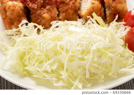 切碎的白菜和油炸的食物。 切碎的白菜和油炸的食物。 69330666