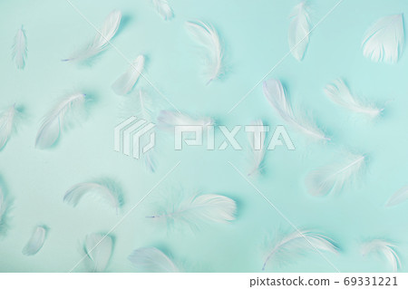 White fluffy bird feathers on pastel blue background 69331221