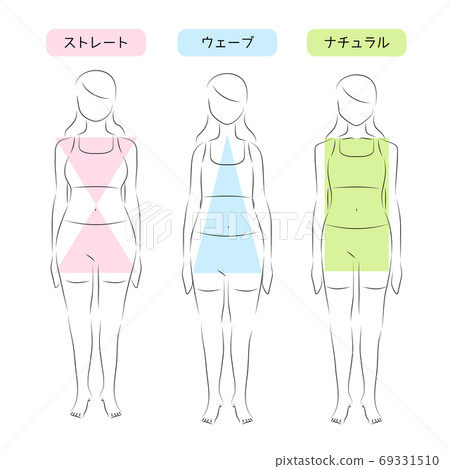 骨骼類型診斷的插圖材料 69331510