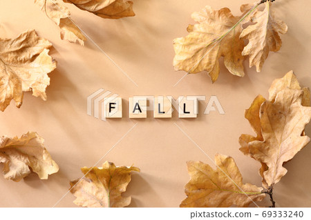 Fallen various golden oak leaves on beige. 69333240