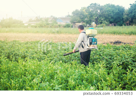 A farmer with a mist sprayer blower processes the potato plantation from pests and fungus infection. Protection and care. Use chemicals in agriculture. Agriculture and agribusiness. Harvest processing 69334053