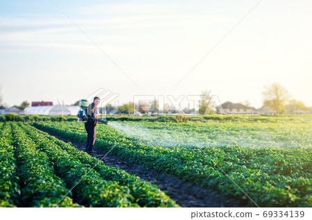 Farmer with a mist sprayer blower processes the potato plantation. Protection and care. Environmental damage and chemical pollution. Use of industrial chemicals to protect crops from insects and fungi 69334139