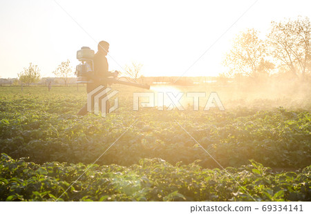 Farmer with a mist sprayer on a morning plantation. Protection and care. Use of industrial chemicals to protect crops from insects. Agriculture and agribusiness. Harvest processing 69334141
