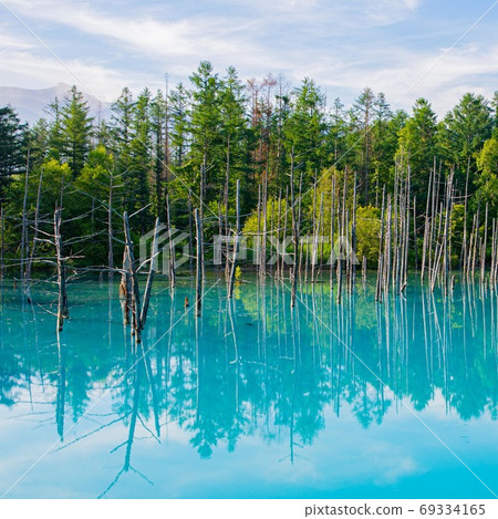 Biei-cho, Hokkaido Blue Pond August Biei-cho, Hokkaido Blue Pond August 69334165