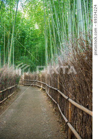 日本嵐山,竹林浩輔 日本嵐山,竹林浩輔 69334224