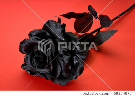 Black Rose Black Rose 69334973