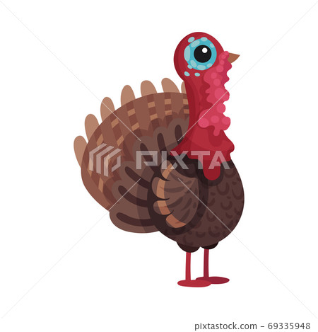 Feathered Turkey as Farm Bird Walking in Yard Vector Illustration Feathered Turkey as Farm Bird Walking in Yard Vector Illustration 69335948