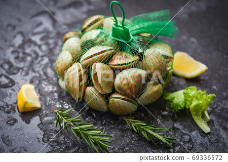 Fresh shell clam with herb ingredients for salad - Seafood shell 69336572
