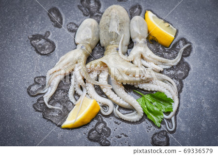 Raw squid on ice with lemon on the dark plate seafood market - f Raw squid on ice with lemon on the dark plate seafood market - f 69336579
