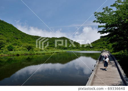 A little girl takes a walk on Mt. Akagi after the rainy season 69336648