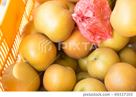 Harvest of pears 69337103