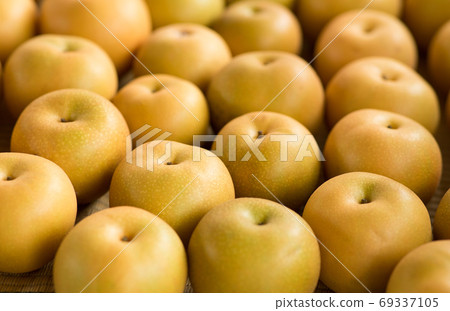 Harvest of pears 69337105