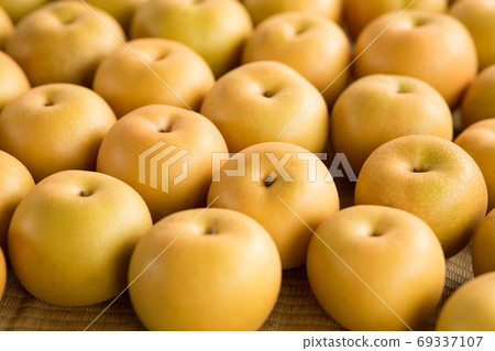 Harvest of pears 69337107