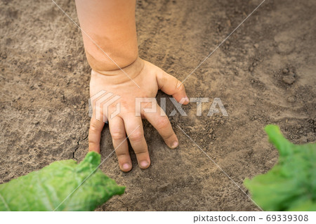Child hand touch dry soil background 69339308