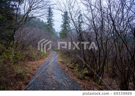 Forest road leading to Mt. Takagawa Forest road leading to Mt. Takagawa 69339989