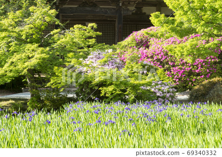 牡蠣和藤蔓開花的花園 69340332