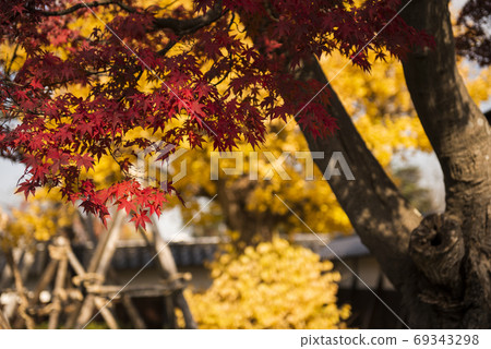 秋天的落葉和冬季準備在花園裡 秋天的落葉和冬季準備在花園裡 69343298
