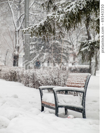 Bench and branches of fir tree covered with snow in the city park Bench and branches of fir tree covered with snow in the city park 69343350