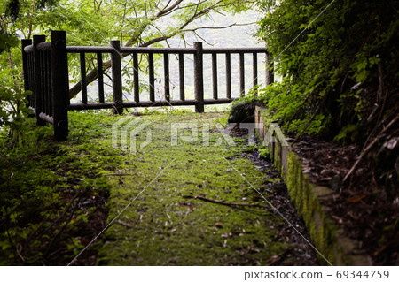 Moss-grown mountain road-Besshi Copper Mine Tohei- 69344759