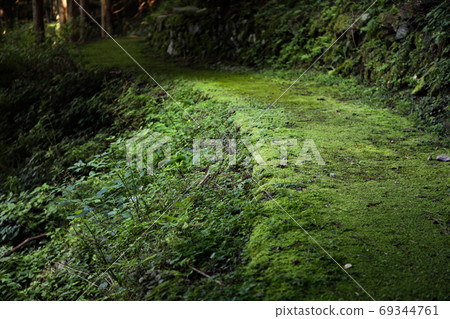 生苔的山路-Betsuko銅礦Tohei- 生苔的山路-Betsuko銅礦Tohei- 69344761