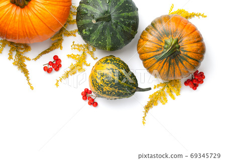 Autumn Pumpkins With Goldenrod And Mountain Ash Autumn Pumpkins With Goldenrod And Mountain Ash 69345729