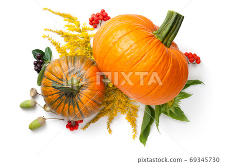Autumn Composition Autumn Composition 69345730