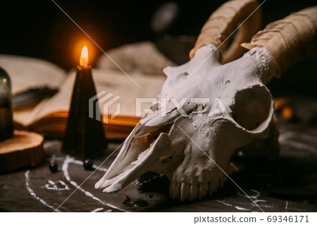 White goat scull with horns, open old book, magic spells, runes, black candles White goat scull with horns, open old book, magic spells, runes, black candles 69346171
