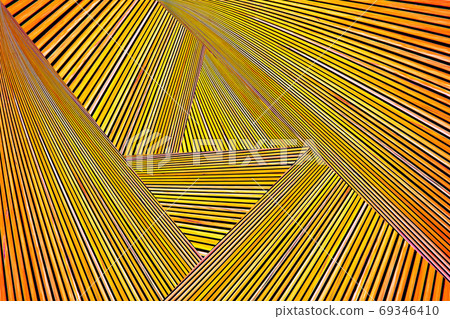 Abstract photo montage of yellow orange timber. Converging lines of planks. 69346410