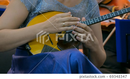 Woman playing mandolin Woman playing mandolin 69348347