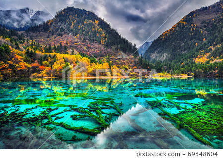 Amazing view of crystal clear water of the Five Flower Lake (Mul 69348604