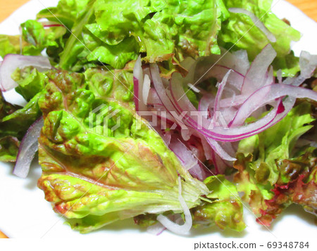 陽光生菜和紅洋蔥沙拉 69348784
