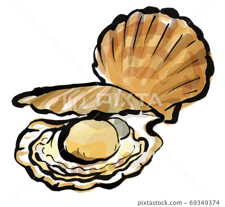 新鮮扇貝1 69349374