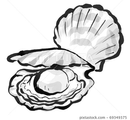 新鮮扇貝3 69349375