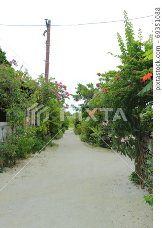 Tropical Road 69351088