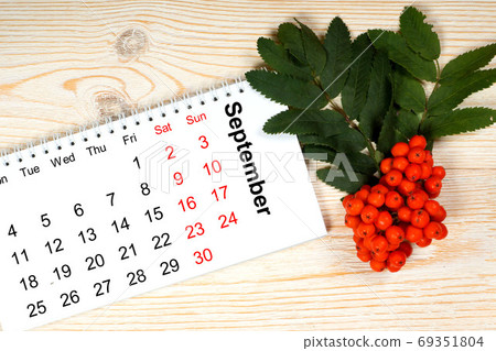 september 2017 notepad calendar with orange rowan berry branch 69351804