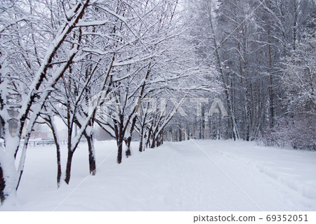 pedestrian road after snowfall pedestrian road after snowfall 69352051