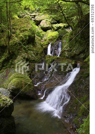 A waterfall downstream of Manoko Waterfall (Kawakami Village, Yoshino District, Nara Prefecture) 69352398