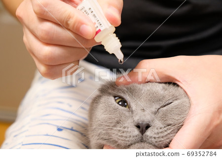 Cat eye drops 69352784