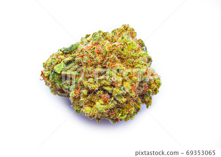 A close up of a cannabis hemp bud dried flower on a white surface. A close up of a cannabis hemp bud dried flower on a white surface. 69353065