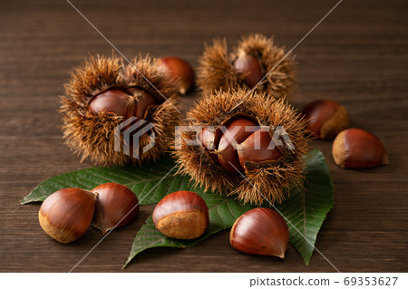 Saki chestnut Saki chestnut 69353627