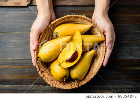 Eggfruit or canistel in a basket holding by hand on wooden table 69354878