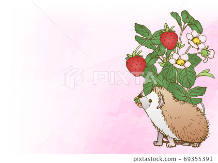 Harine老鼠和草莓 69355391