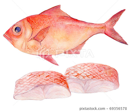 水彩插圖，海鮮，金魚，海鮮 69356578