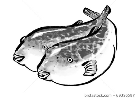 松露河豚魚的插圖 松露河豚魚的插圖 69356597