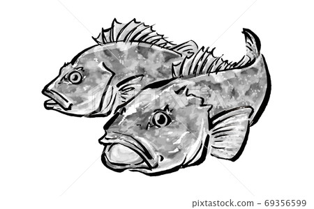 Hand drawn illustration of scorpionfish 69356599