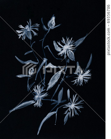 wild flowers in flowerbed wild flowers in flowerbed 69356786