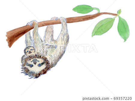 掛在樹上的生獸的父母和孩子的水彩插圖 69357220