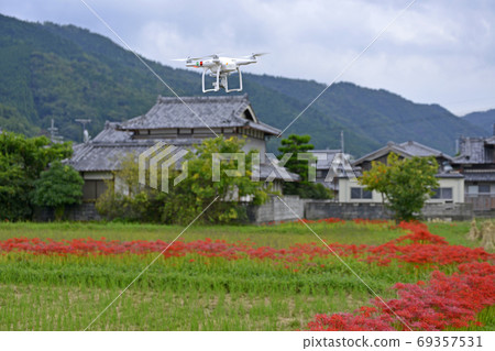 ≪Drone flying over cluster amaryllis≫ Rural rice field autumn ≪Drone flying over cluster amaryllis≫ Rural rice field autumn 69357531