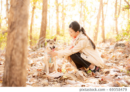 Woman and dog in autumn nature Woman and dog in autumn nature 69358479